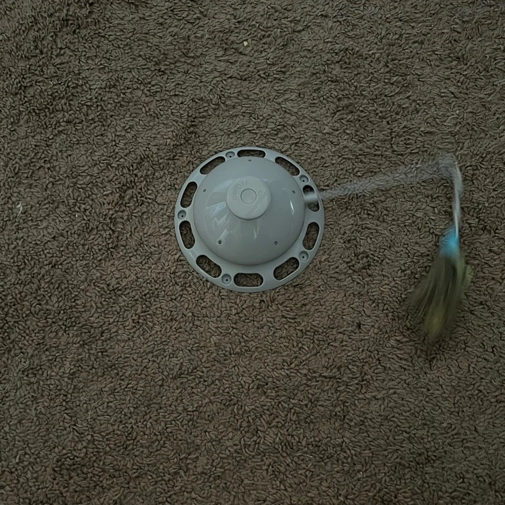 SmartyKat interactive cat toy